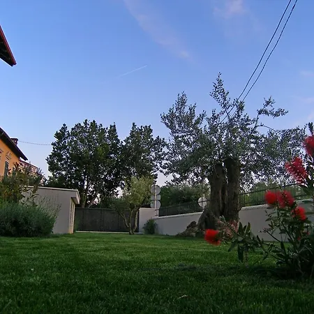 Appartement Momentum Split